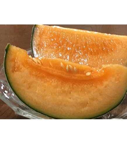 Amazon.co.jp: JA茨城旭村 クインシーメロン（赤肉） 秀品 大玉4L